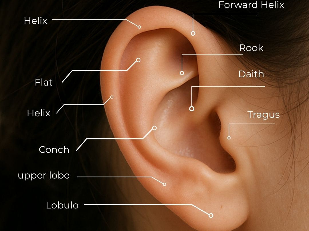 Descubre el Mundo de los Piercings de Oreja: Tendencias y Cuidados Esenciales - Helix Body Jewelry - Tienda Online de Piercings