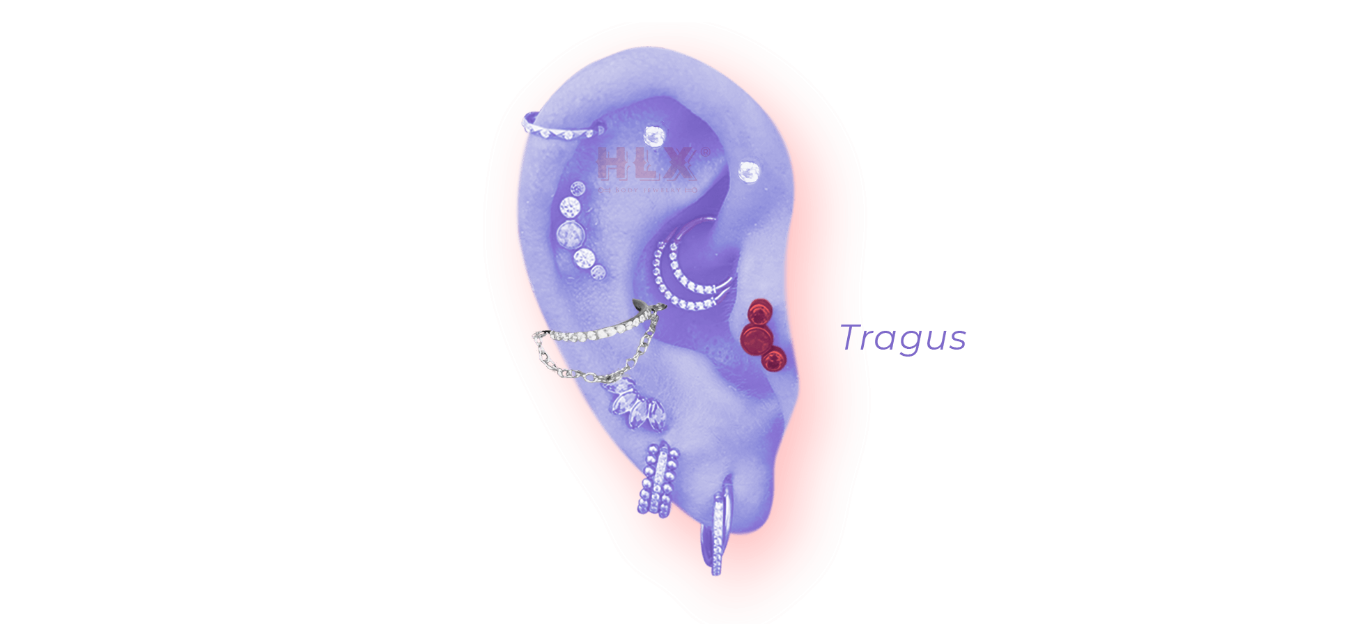 Tragus