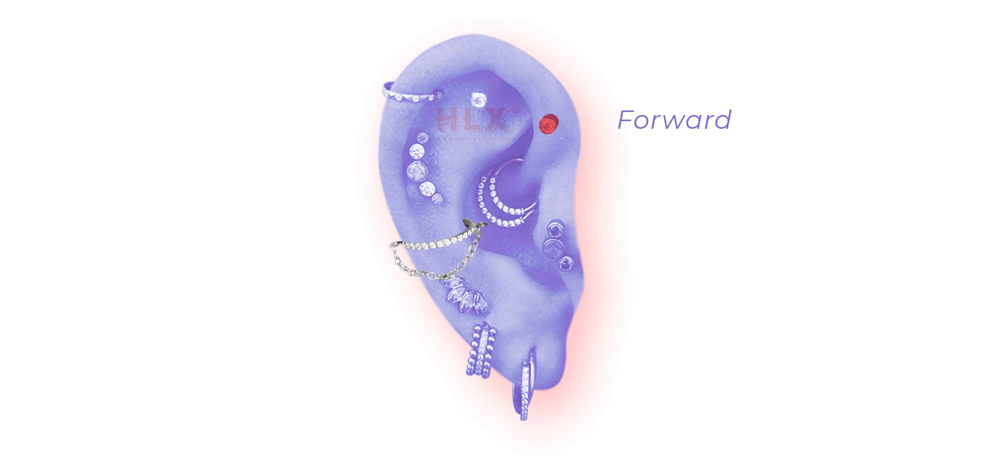 Forward Helix