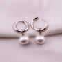 Aretes Tipo Candonga con Perla Elegante - Acero Inoxidable Dorado y Plateado - Helix Body Jewelry - Tienda Online de Piercings