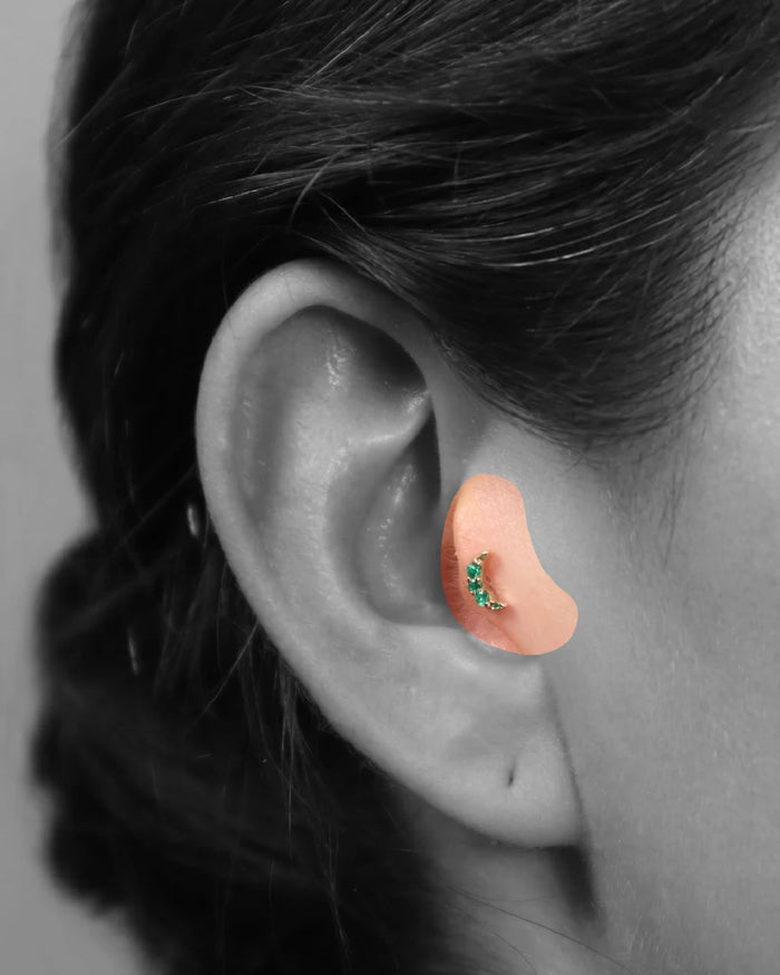 Tragus