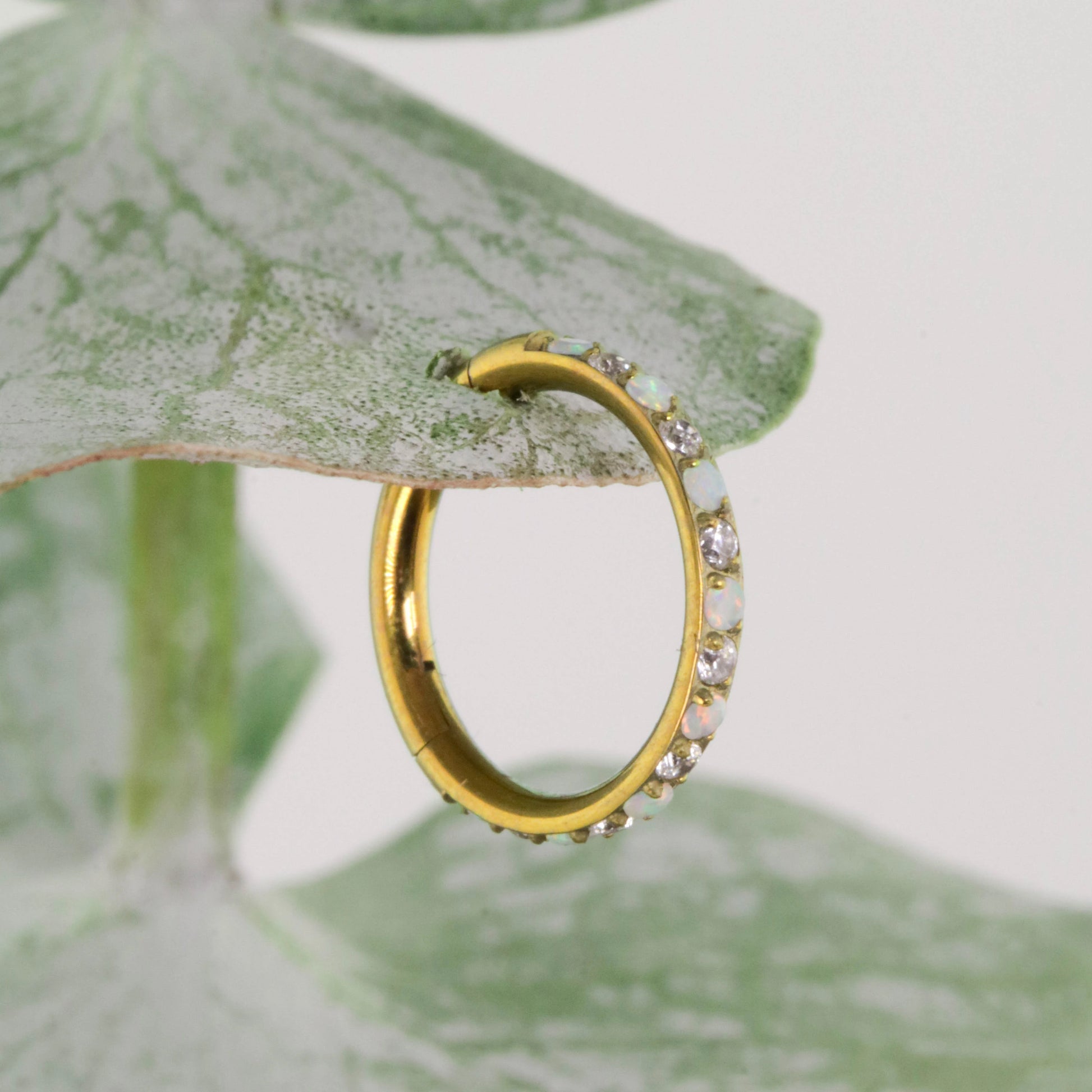 Aro Clicker Irla en Titanio | Ópalo Tornasol