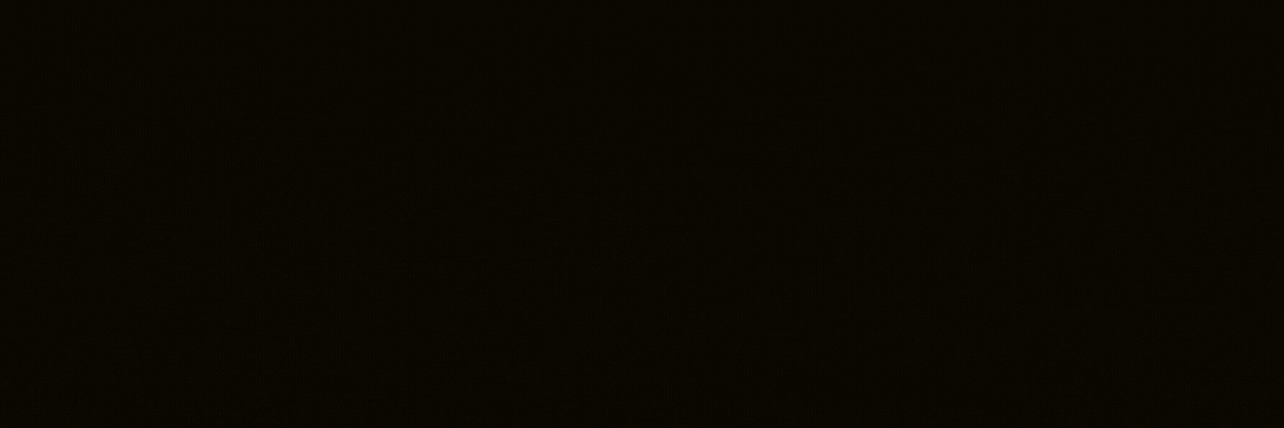 Explora todas nuestras joyas