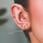 Aro Eter Titanio Grado Implante | Diseño Naturaleza Doble Pedrería - Helix Body Jewelry - Tienda Online de Piercings