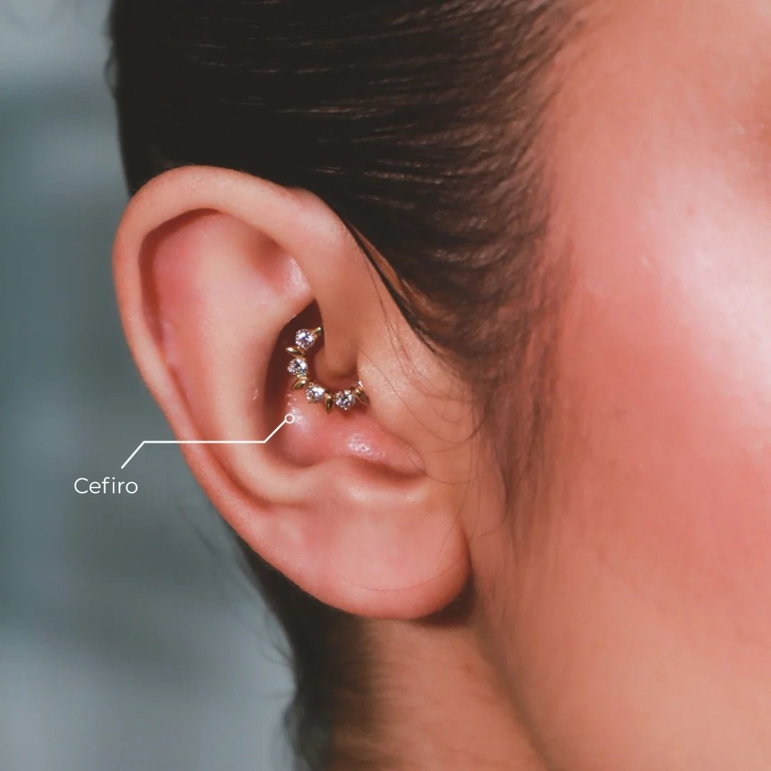 Aro Cefiro Titanio Grado Implante Dorado – Pétalos y Zirconias - Helix Body Jewelry - Tienda Online de Piercings