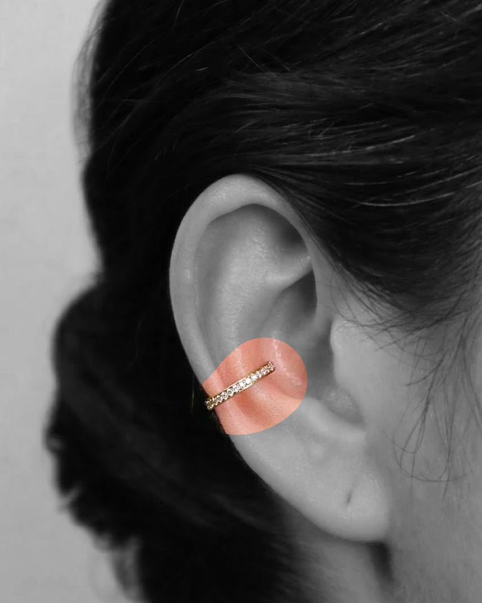Conch