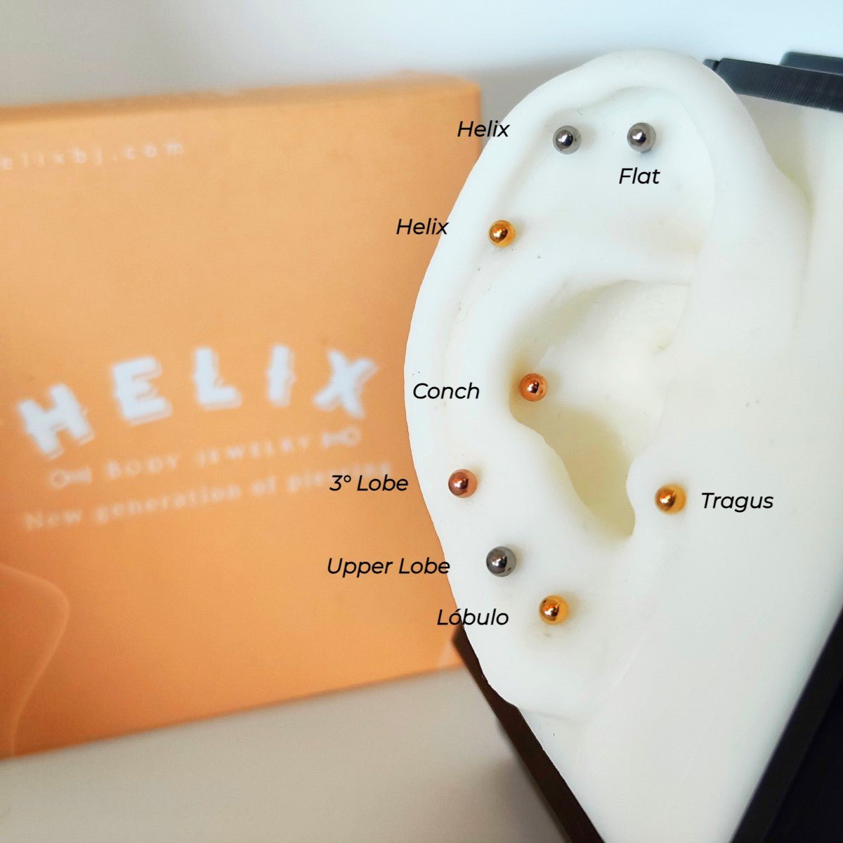 Piercing Labret Clásico - Helix Body Jewelry - Tienda Online de Piercings