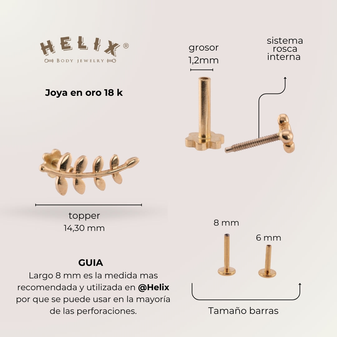 Laurel Oro 18K