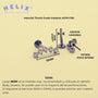 Piercing para Helix - Penta - Helix Body Jewelry - Tienda Online de Piercings