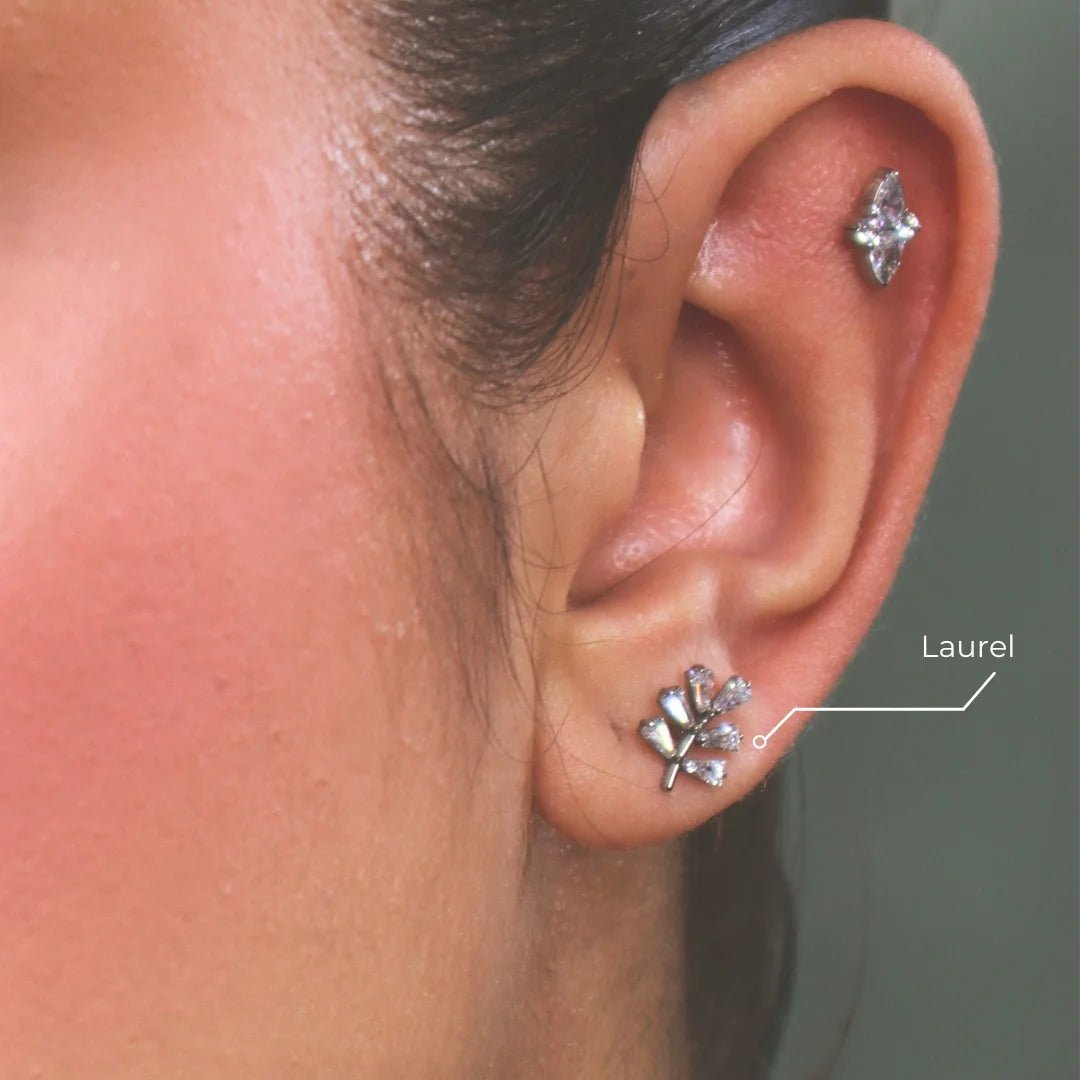 Labret Laurel Titanio Rama | Piercing Helix & Lóbulo - Helix Body Jewelry - Tienda Online de Piercings