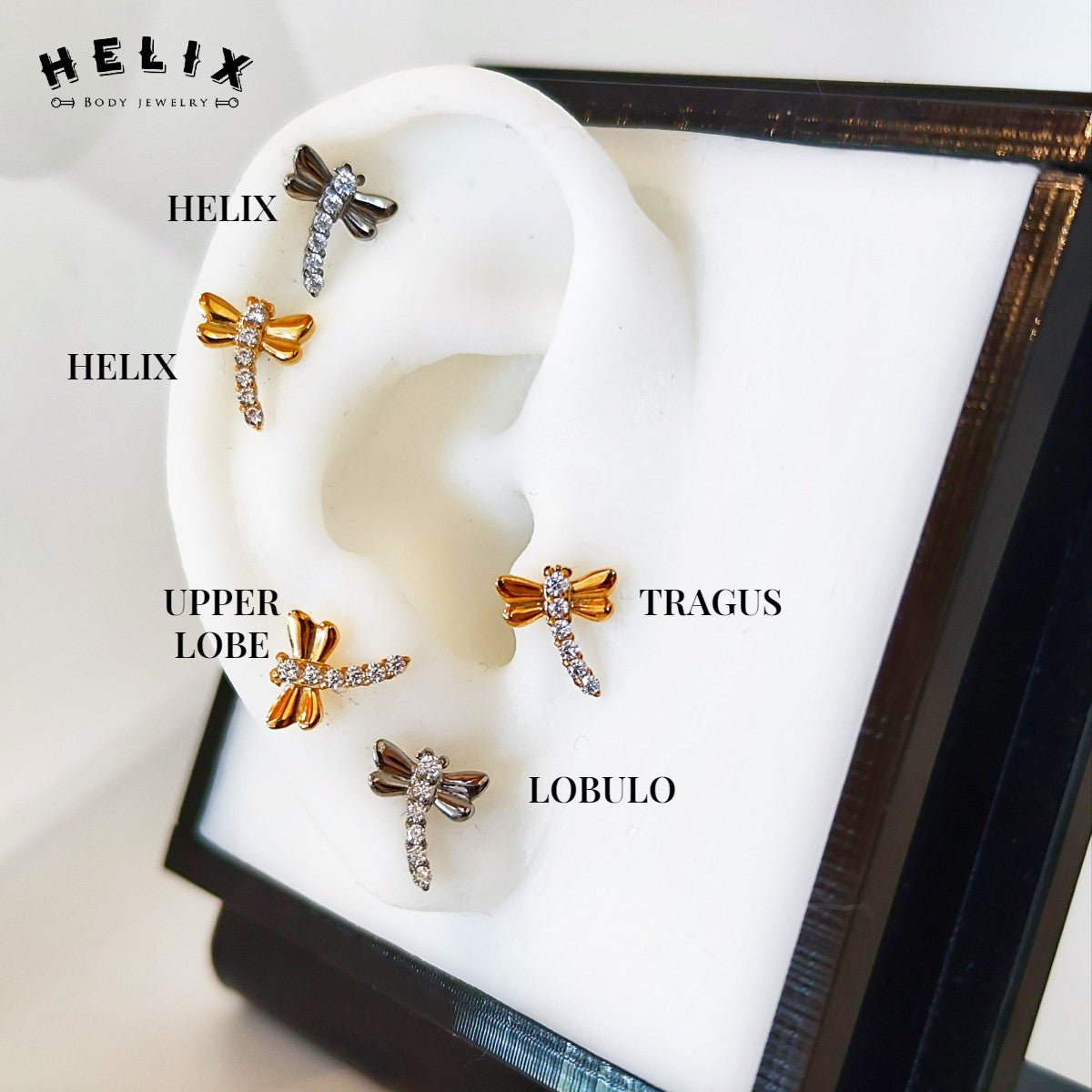 Piercing Oreja Libi - Helix Body Jewelry - Tienda Online de Piercings